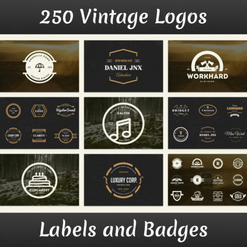 Each logo have been created with care with the finest details.