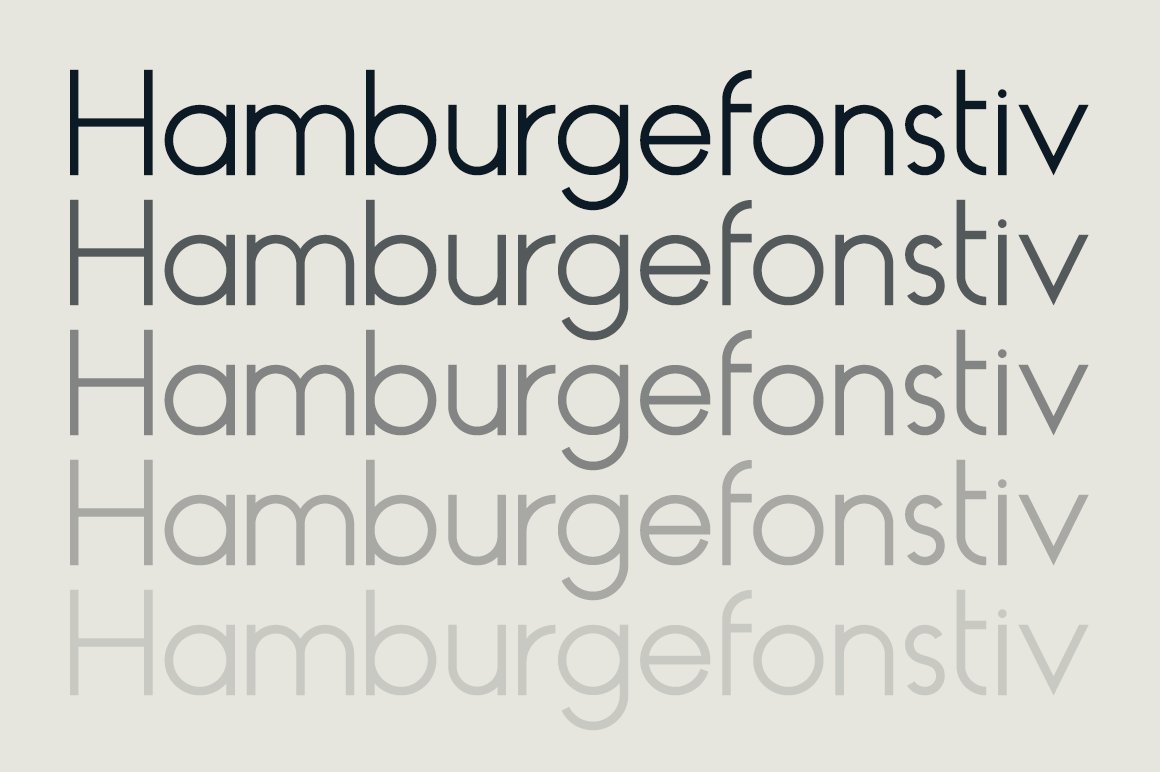 HAUS Sans Regular font.